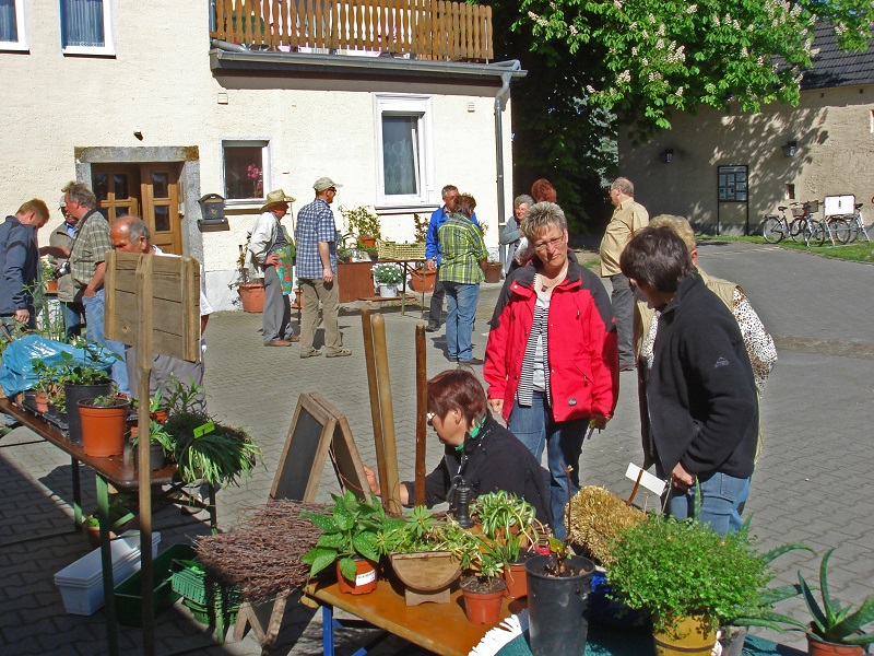 Bild Obstbau- und Heimatverein Großdubrau e.V.